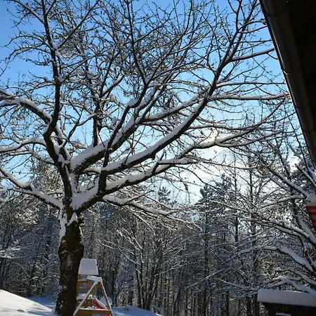 Coprnicka Hisa Vikendica Skrad