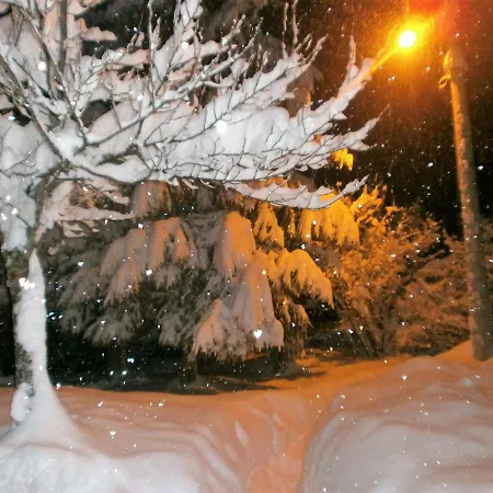 Coprnicka Hisa * Skrad