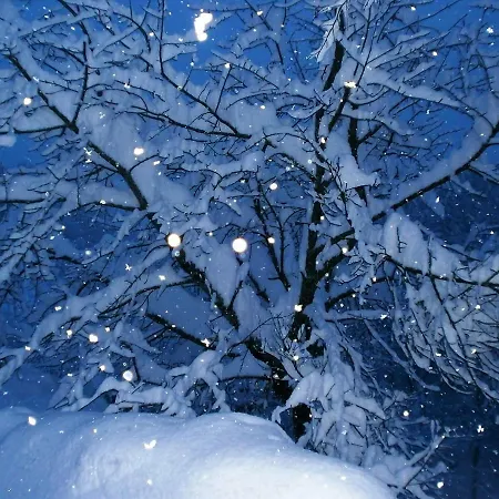 בית נופש Coprnicka Hisa