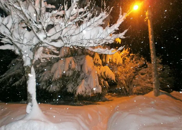 Coprnicka Hisa * Skrad